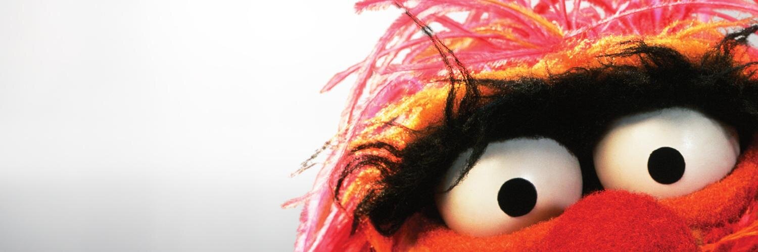 sabialuca's profile banner image