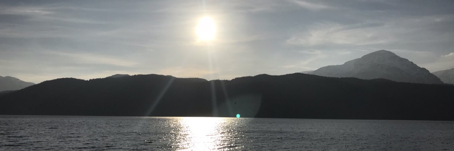 aimeemcnee_'s profile banner image
