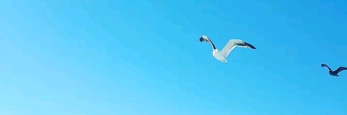 MARUCA ⭐⭐⭐ banner