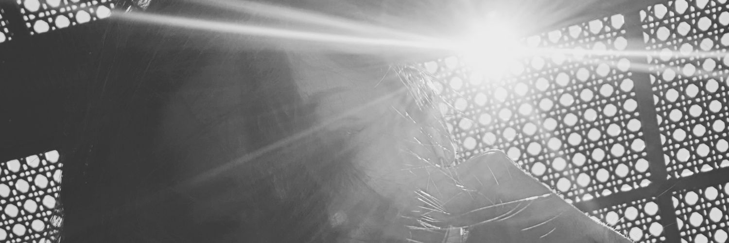 NIGAR273's profile banner image