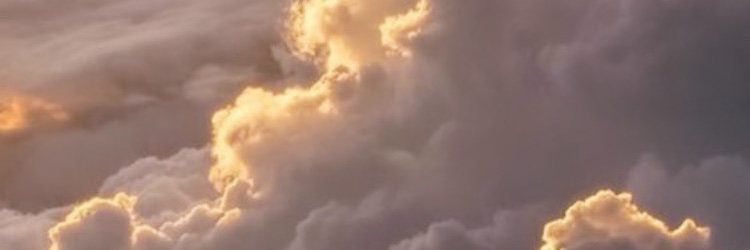 kameliatje's profile banner image