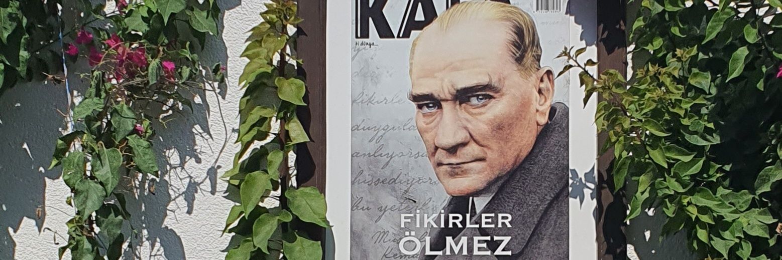 tweet böceği 🐞🦋🌸🦂🐈💘 banner