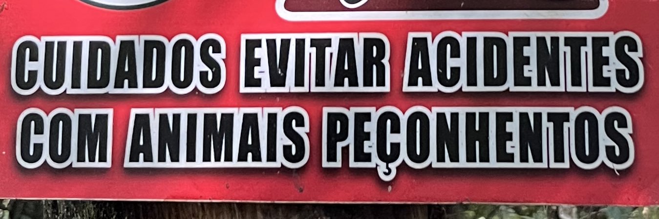 a imagem semelhança do diabo banner