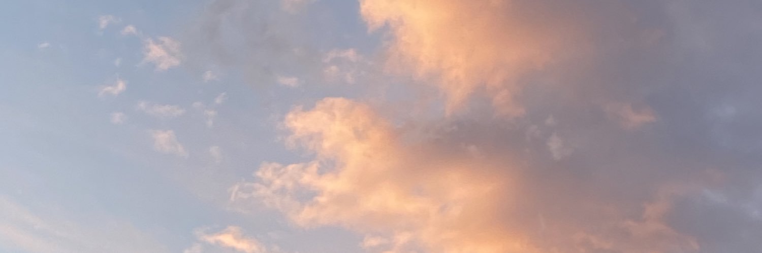 loganpickles's profile banner image