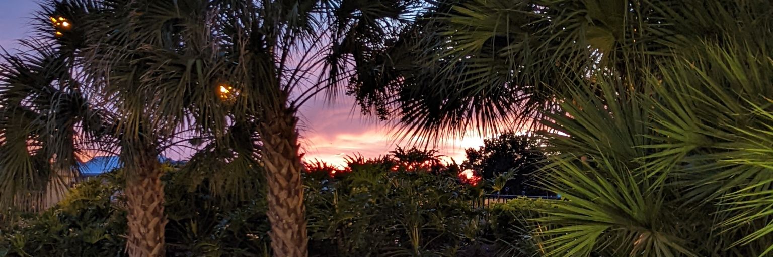 Jennifer Haller banner