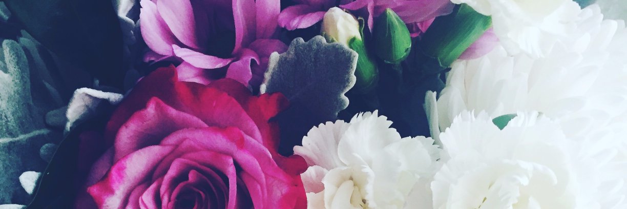 Renee Sanson banner