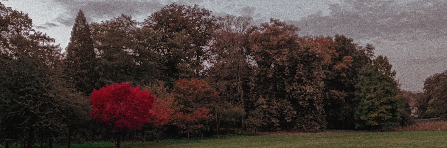 exlibrisnoctis's profile banner image