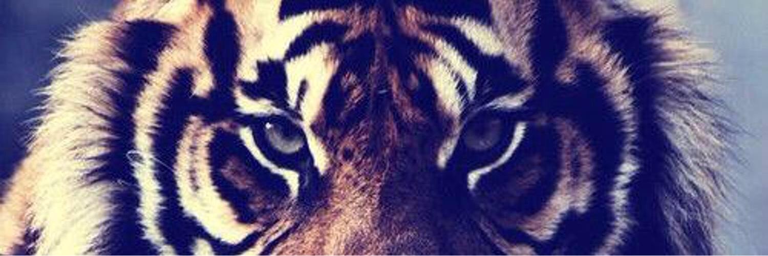 KeepItTriII's profile banner image