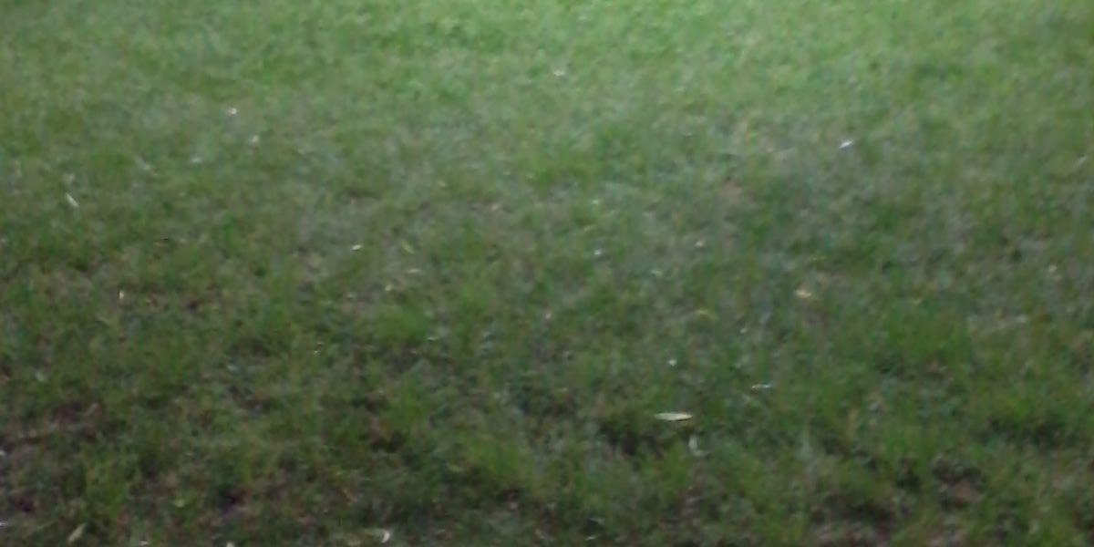 Something RT banner