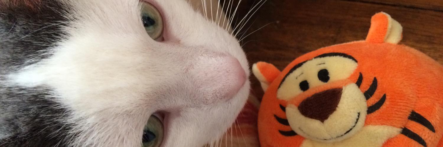 EmersonFatCat's profile banner image