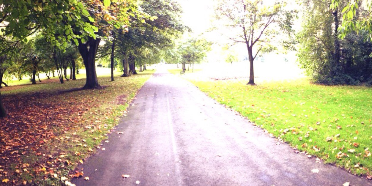 d_mdavid's profile banner image