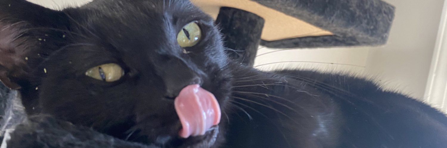 phatkittee's profile banner image