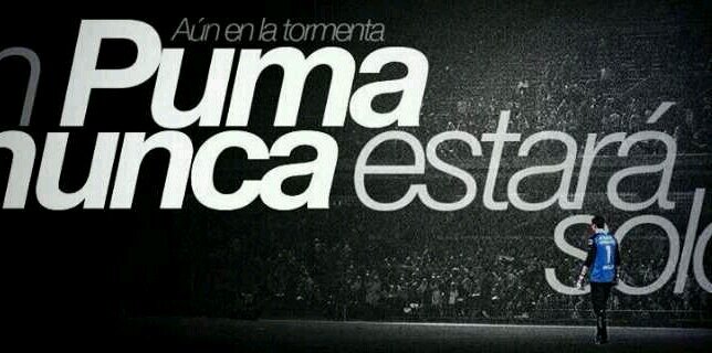 Juan Gamboa banner