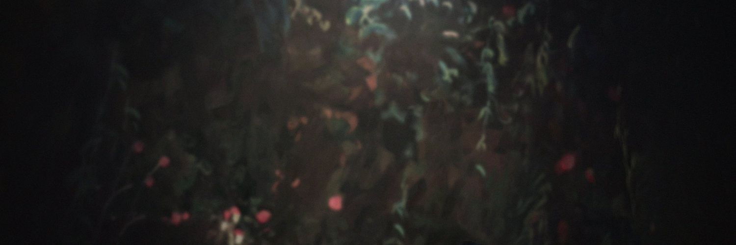 nachotuits's profile banner image