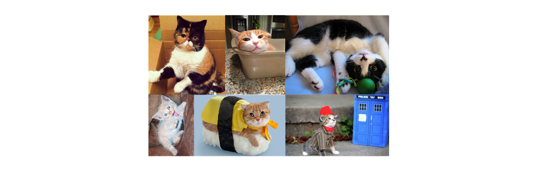 CatGeeks's profile banner image