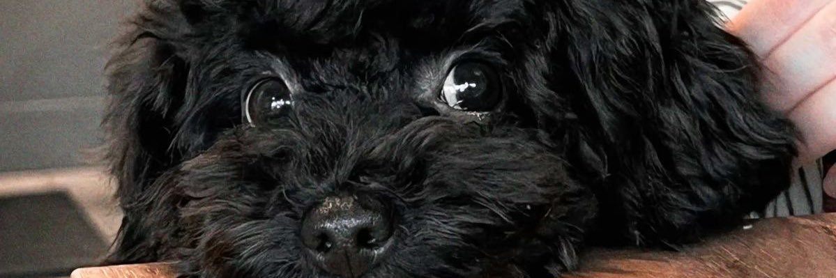 Eyay14's profile banner image