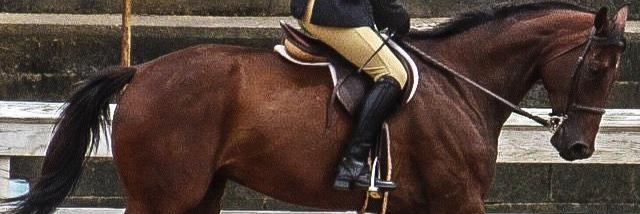 _equineproducts's profile banner image