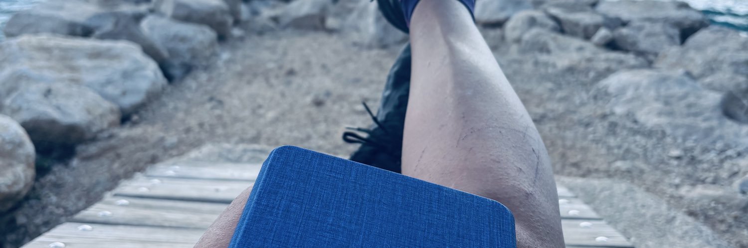 sober_socks 🦁 banner