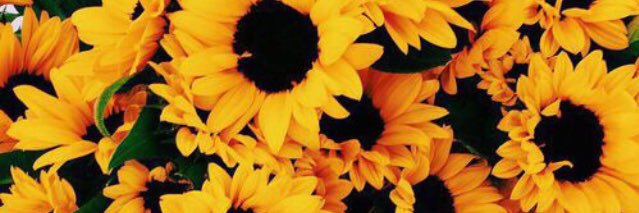 Amy Elizabeth 🌙☀️ banner