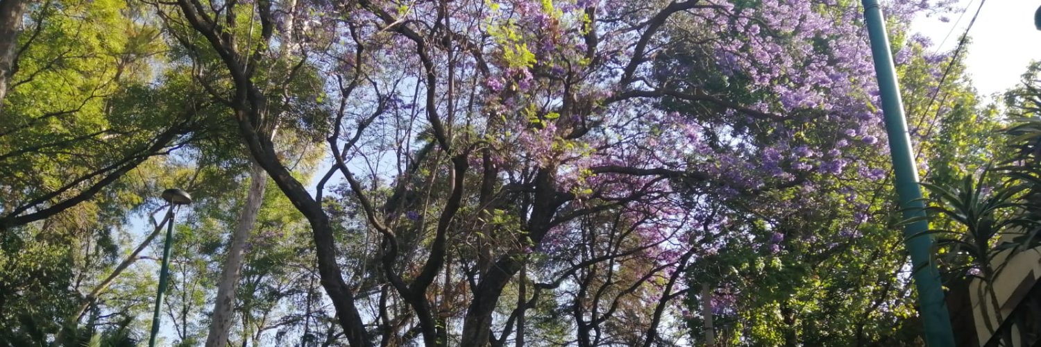fatipel's profile banner image
