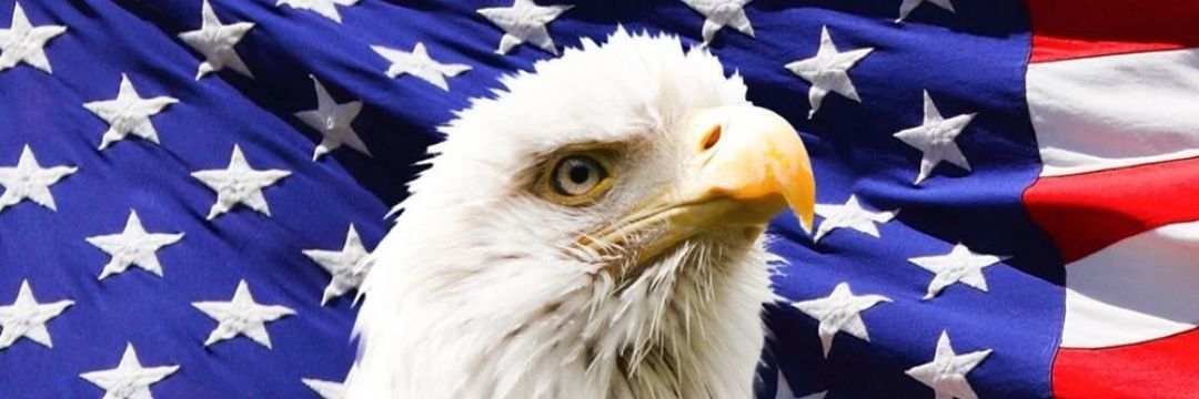 Determined Patriot 🇺🇲 banner