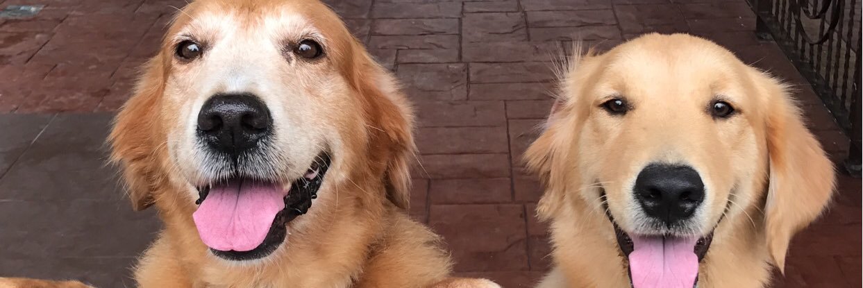 RuebenIsTheName's profile banner image