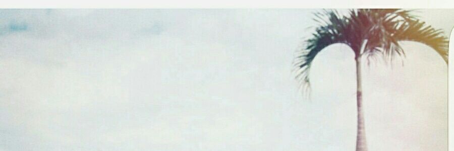 zehra______'s profile banner image