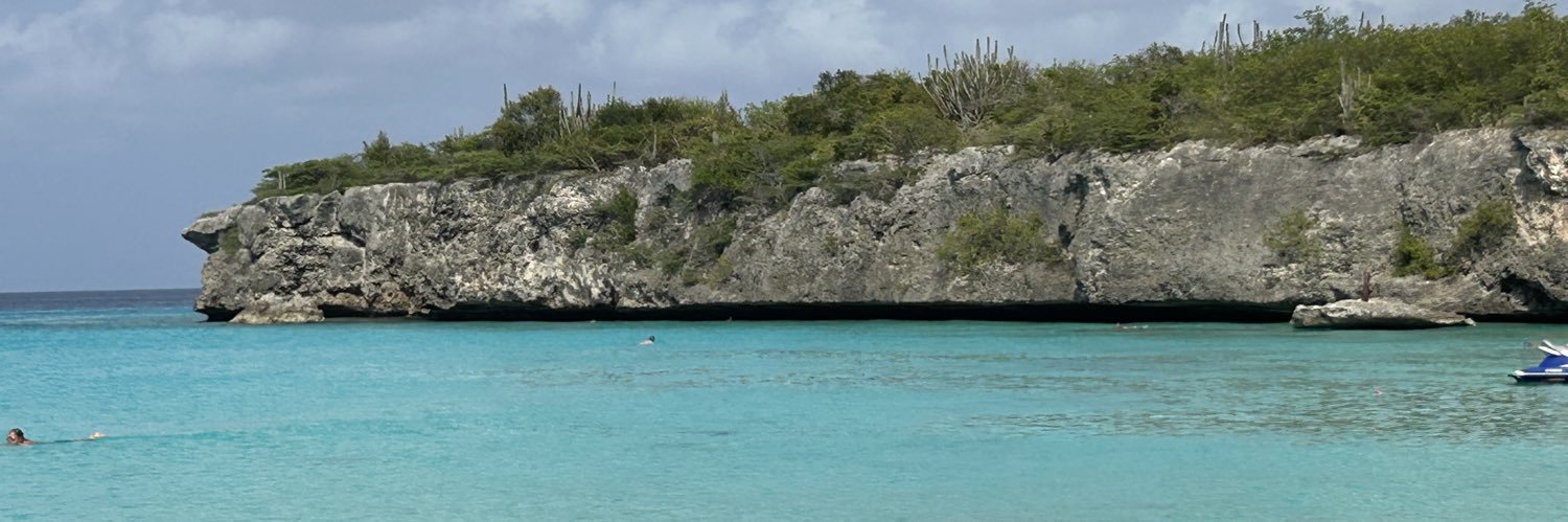 Edwin Janssen banner