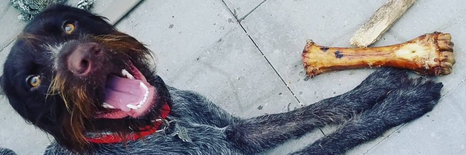 AdamDrieling's profile banner image