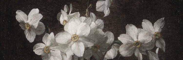 9br_8's profile banner image