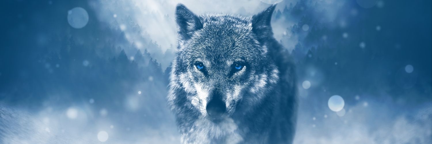 Silverwolfheart's profile banner image