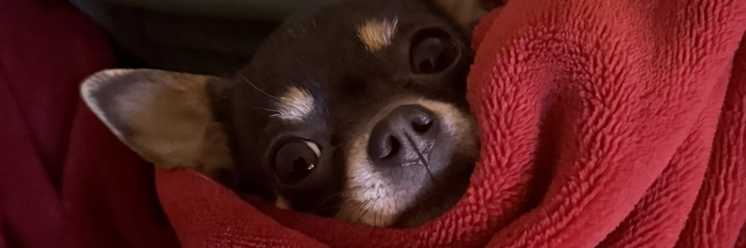 zarbieman's profile banner image