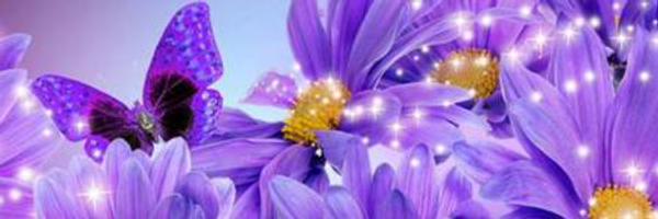 APlaceOTheirOwn Profile Banner