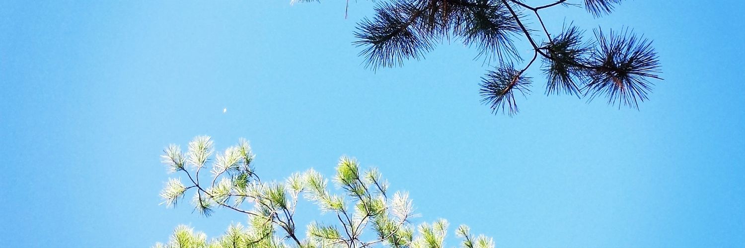 jaxgzz's profile banner image
