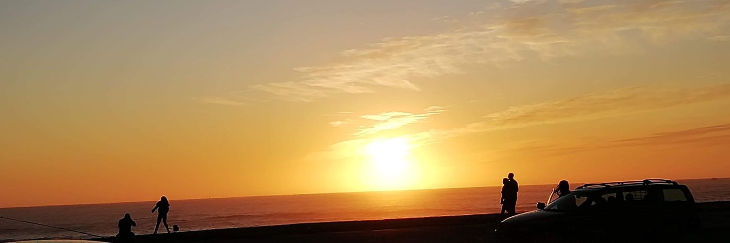 Hugo Ferreira banner