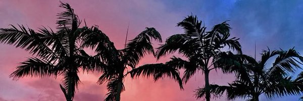 saul_434 Profile Banner