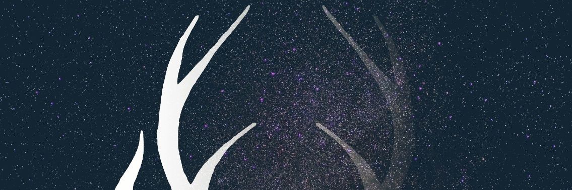 readerlines's profile banner image