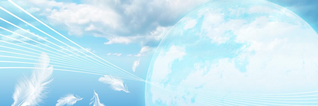 ringoto877's profile banner image