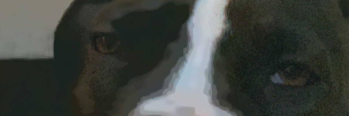 arp0611's profile banner image