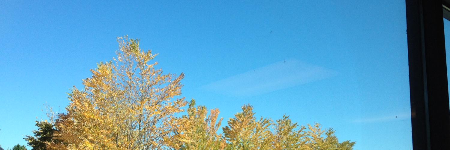 Robert Junker banner