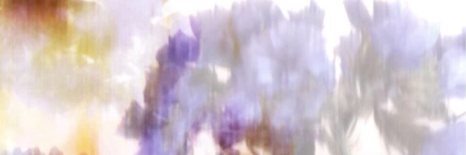 EavaEarth's profile banner image