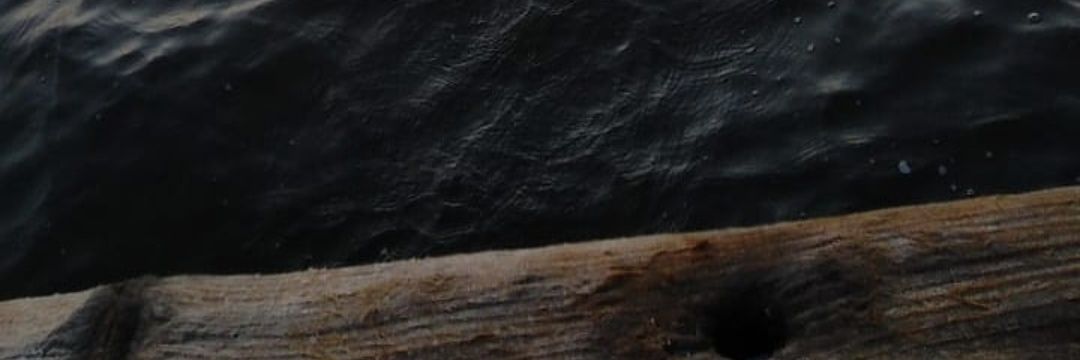 xebrug's profile banner image