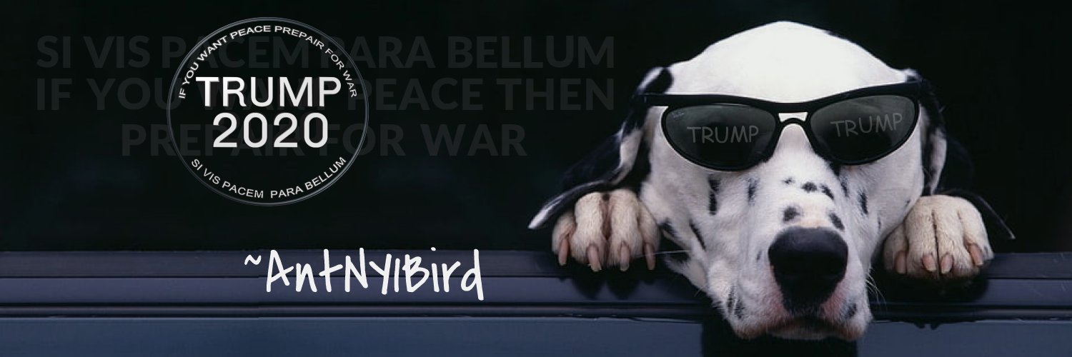 War-Bird Profile Banner