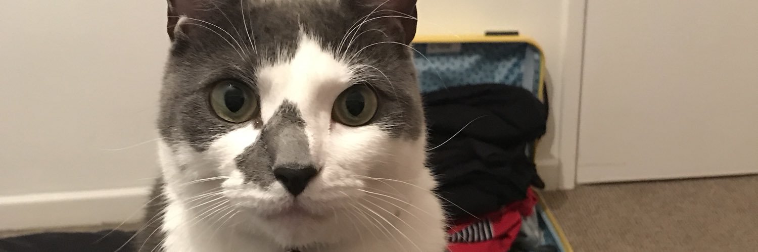 Bushy79's profile banner image