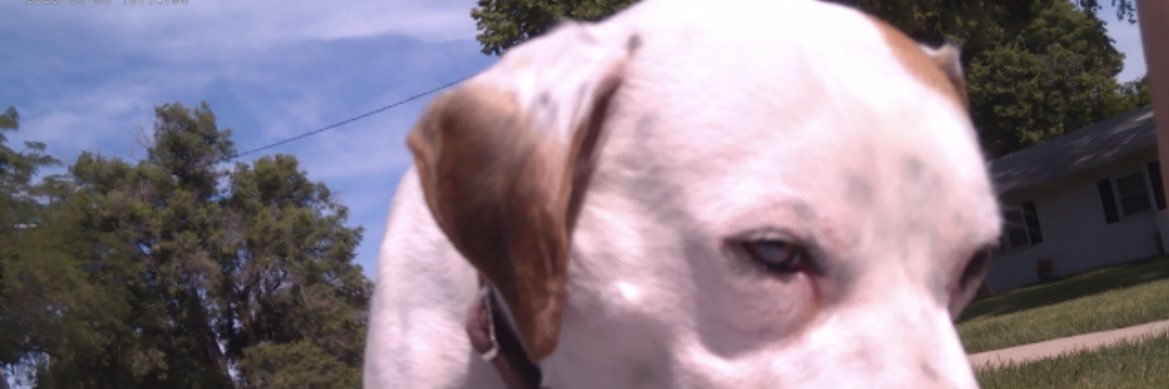 VermeerCharlie's profile banner image