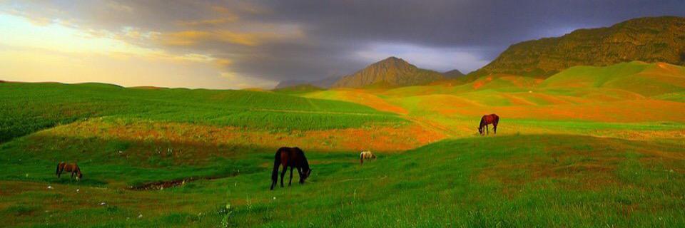 rishad_attaie's profile banner image