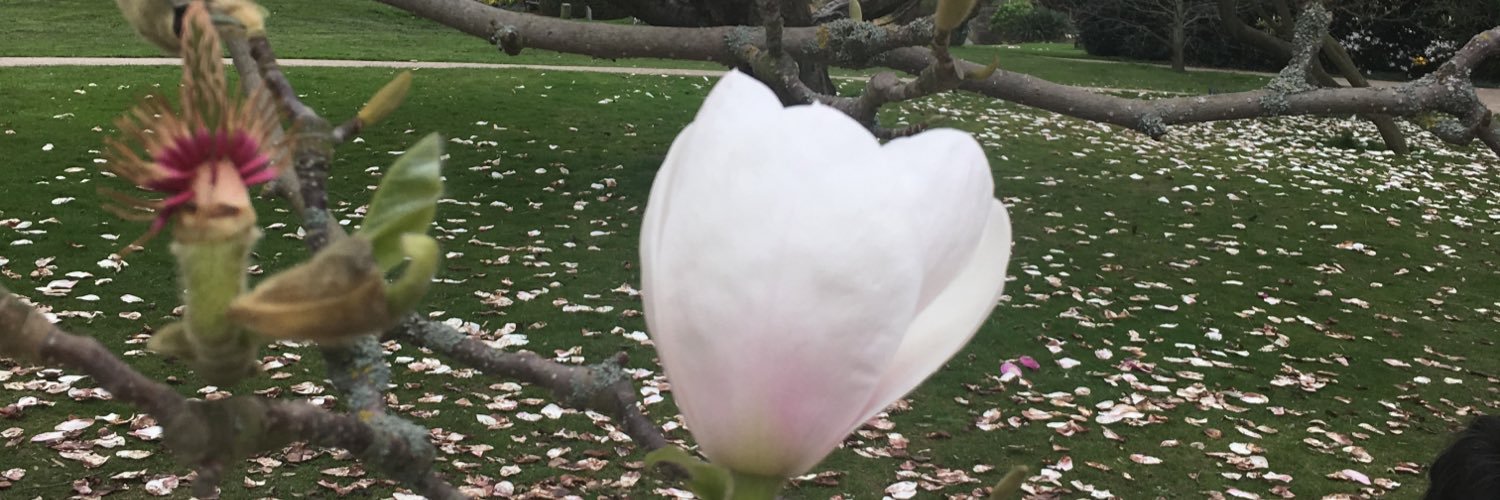 Mayar5555555's profile banner image