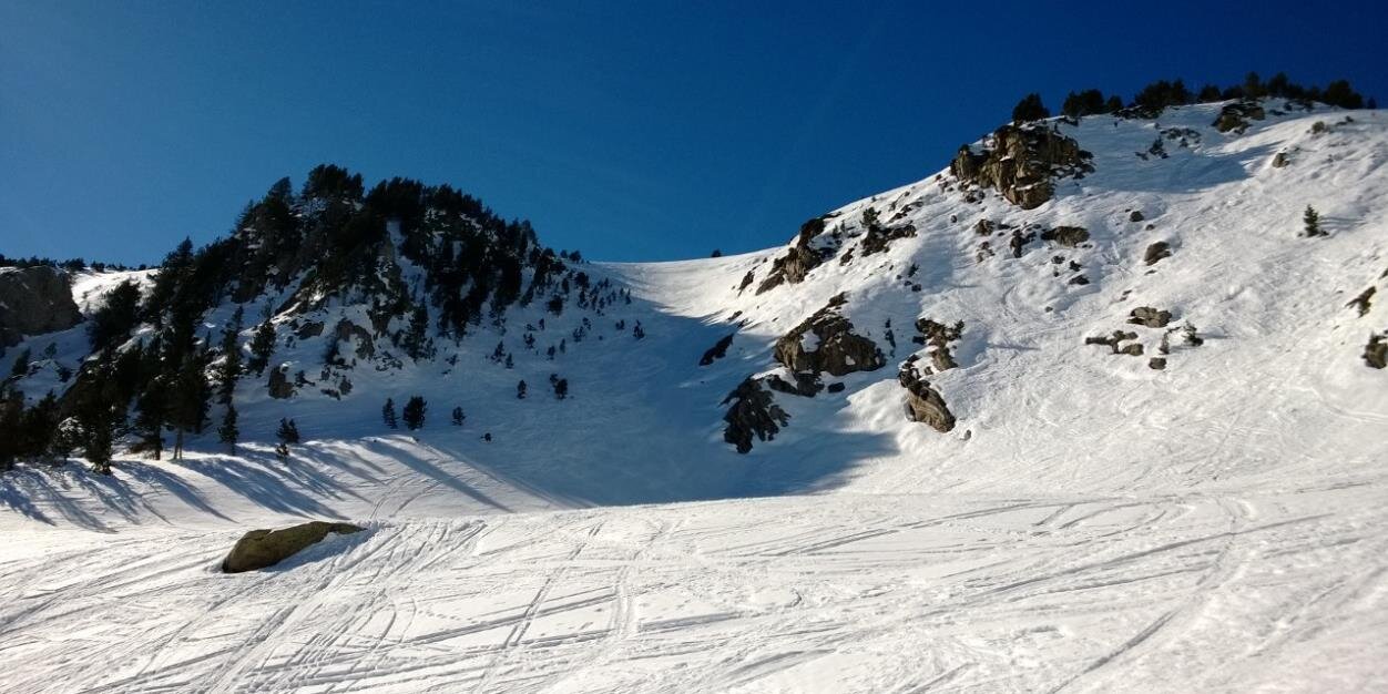 SocFranC //*//🪢🪢🪢🪢 banner