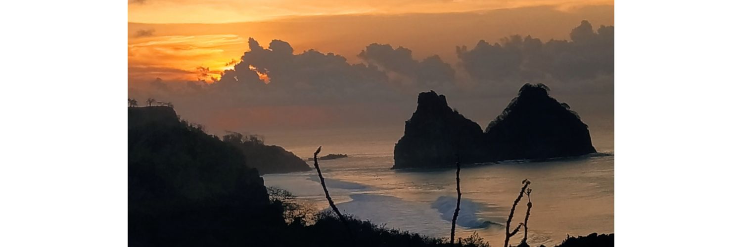 GeorgeMarinho's profile banner image