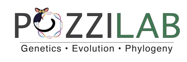 PozziLab Profile Banner